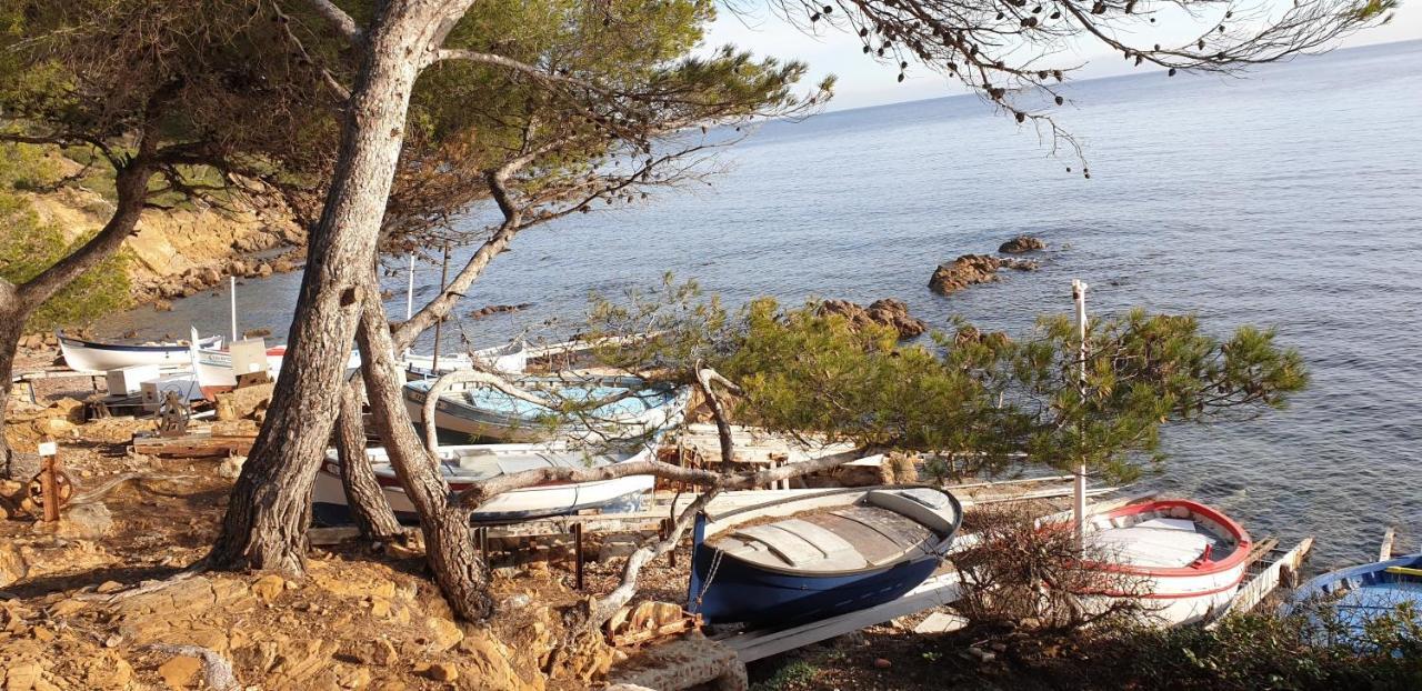 Chambres D'Hotes Chez Pat Et Nanou Six-Fours-les-Plages Luaran gambar